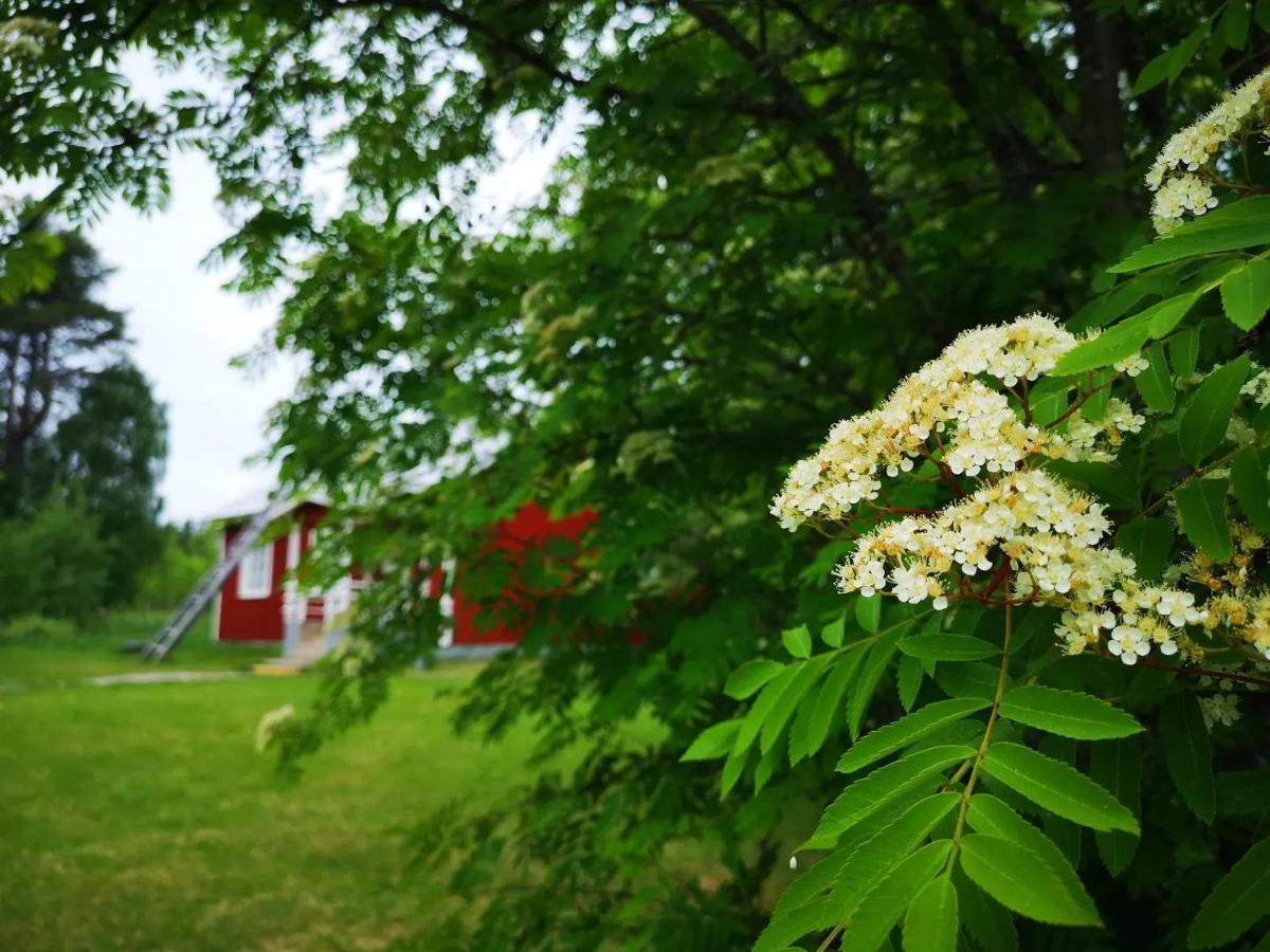 Raate Guest House Suomussalmi Exterior foto